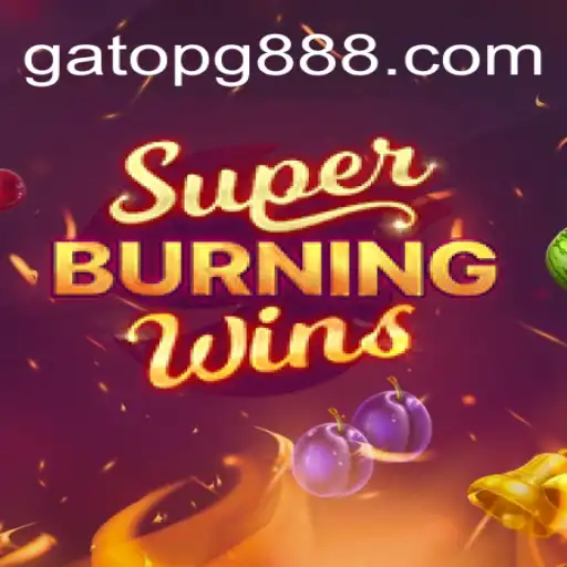 Exploring the Exciting World of SuperBurningWins: Casino Game Insights