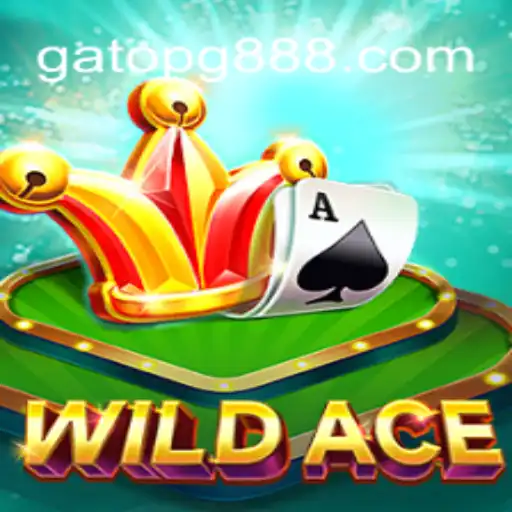 Discover WildAce: The Ultimate Gaming Adventure